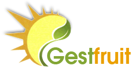 Gestfruit